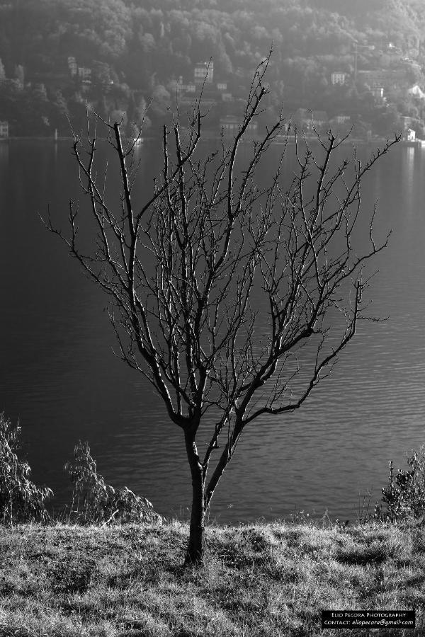 Appartamenti Monti Como Lake Brunate Ngoại thất bức ảnh